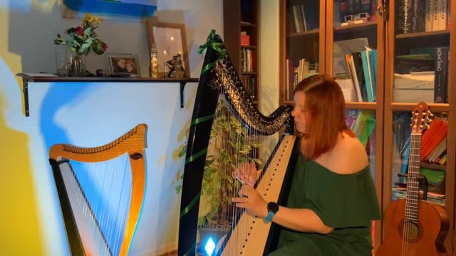 Ukrainian Folk Song - Ой у лузі червона калина - Anna Grig смотреть онлайн