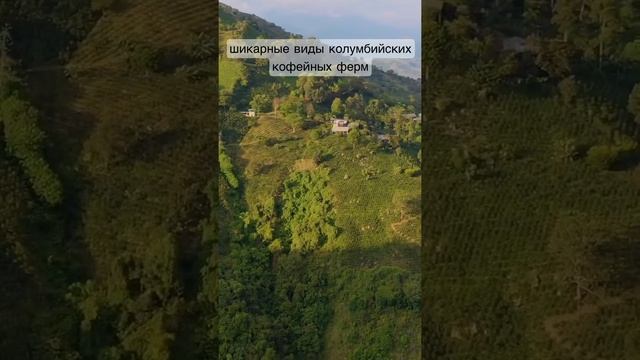 Шикарные виды колумбийских кофейных плантаций. 4 фермы – 4 истории. Проект “Соседи» смотреть онлайн