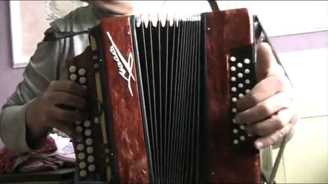 Гармонь Чайка трехголосая смотреть онлайн