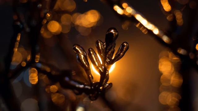 Valentyn Silvestrov, "Bagatelles - XII", fragment смотреть онлайн