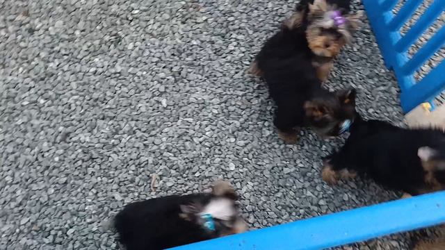 1000127414.mp4 смотреть онлайн