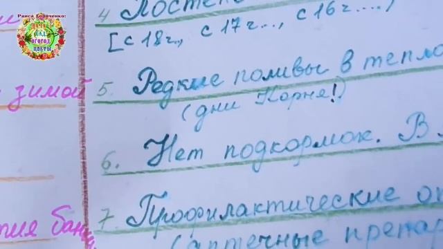 Вот почему черенки роз не укореняются. 9 моих ошибок. Не повторяйте их. смотреть онлайн