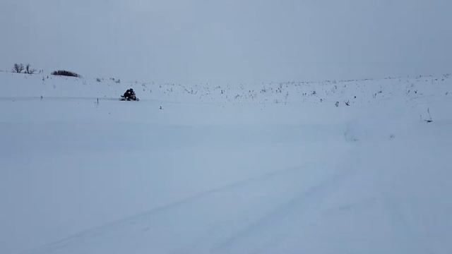 Дети на Рыбоходе.