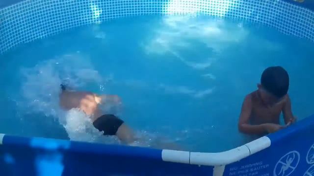 Дельфины в неволе смотреть онлайн
