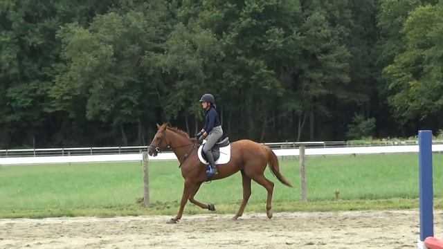 Red Lotus 9 13 18 смотреть онлайн