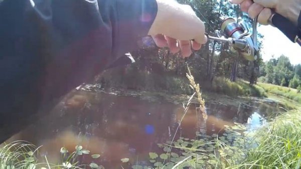 Поймал щуку на keitech noisy flapper