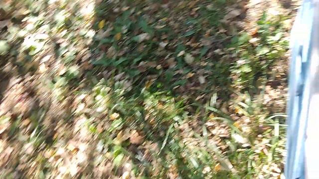 Готовим пчёл в зиму. Карника Пешец на Тройзек. смотреть онлайн