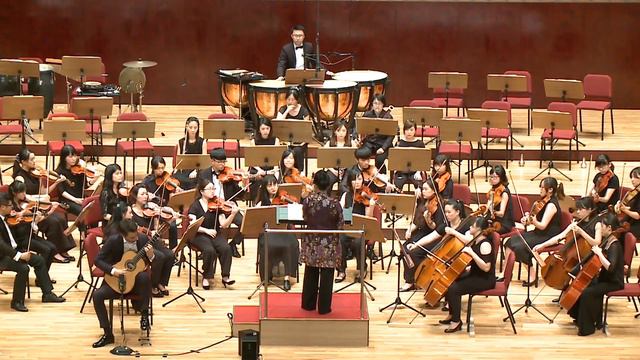 Jérémy Jouve plays III. MOV. of Guitar Concerto No.1, op.99 by M.C.Tedesco(TIGF2018) смотреть онлайн
