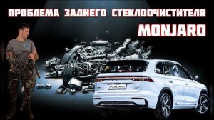 Geely Monjaro(Джили Монжаро)  первые проблемы