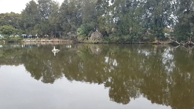 Австралия Сидней. Жесть нашего городка.Докатились до ручки.Элла Австралия смотреть онлайн