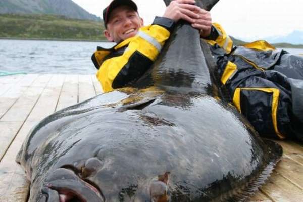 324.Трофеи 106.mp4 смотреть онлайн