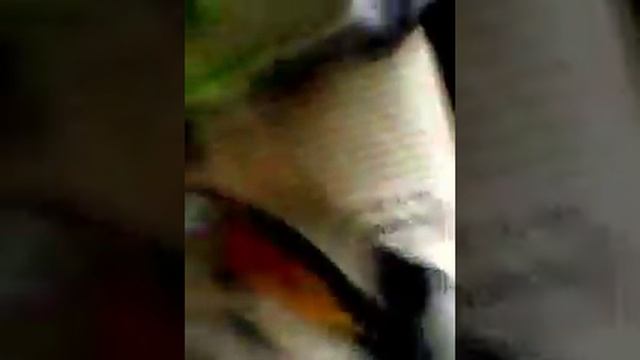 дача48.сбор семян томата№2....20.07.18г. смотреть онлайн