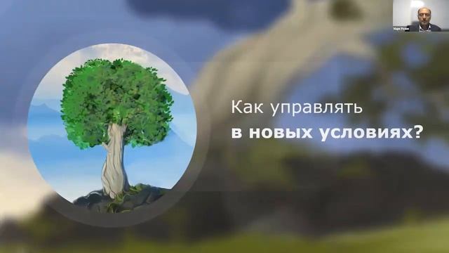 Стратегия осьминога: как построить гибкую организацию смотреть онлайн