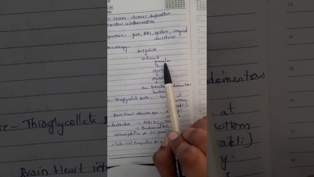 actinomycetes part2 easy findings смотреть онлайн