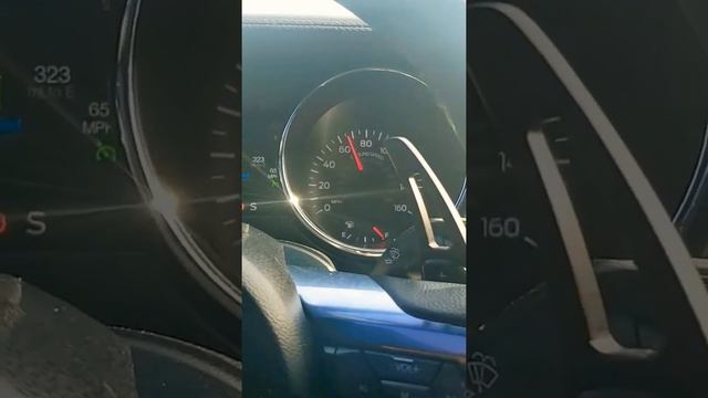 Life Is To Expensive To Go Fast.