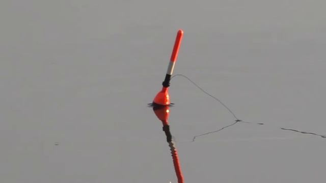 Карась и ротан на червяка. Рыбка плавает по дну не поймаешь ни одну. Летняя рыбалка на пруду смотреть онлайн