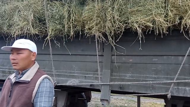 Быйылкы Чоптун Нак Баалары ,Мал базар ,Сокулук 29.05.22 Биз менен Байланыш номер вот сап 022334555 смотреть онлайн
