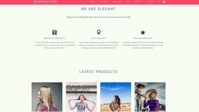 ShopIsle eCommerce WordPress Theme - Overview and Customization смотреть онлайн