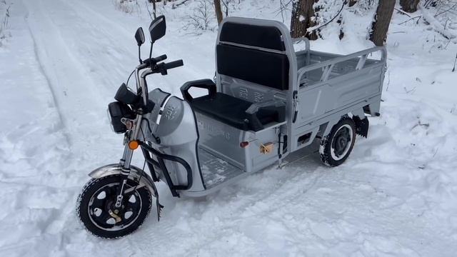 Электрический трицикл Rutrike Вояж К1 1200  - идеальный выбор для дачника!
