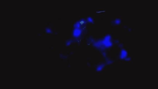 Tales of Destiny 2 - Final Boss and Ending [テイルズオブデスティニー2] смотреть онлайн