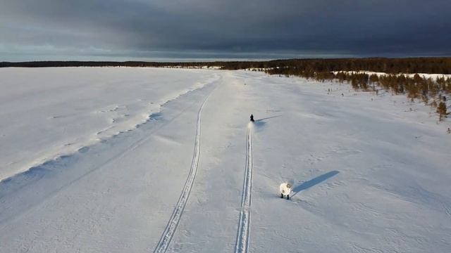 Покатушки на снегоходах по Онежскому полуострову смотреть онлайн