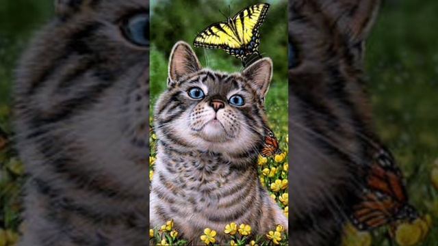 Бой проигранный из-за фобии