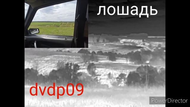 тепловизионный монокуляр iray dvdp09 лошадь в дали смотреть онлайн