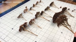 Создание реалистичных деревьев для диорамы. Часть 1