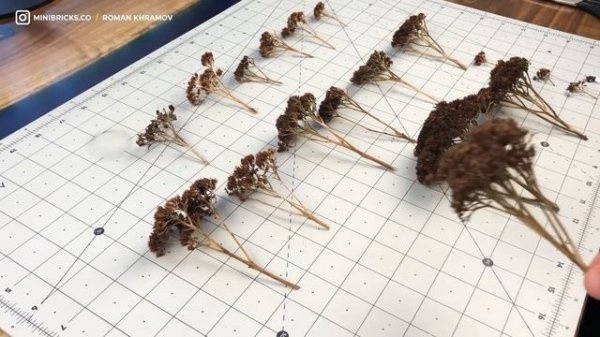 Создание реалистичных деревьев для диорамы. Часть 1