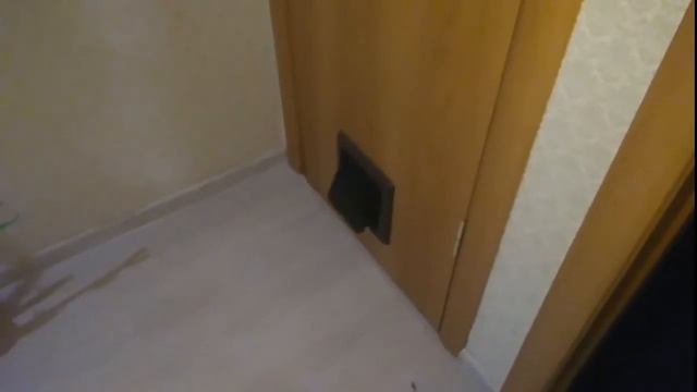 когда не знаешь, как этим пользоваться ?приучали к дверки для кошек смотреть онлайн