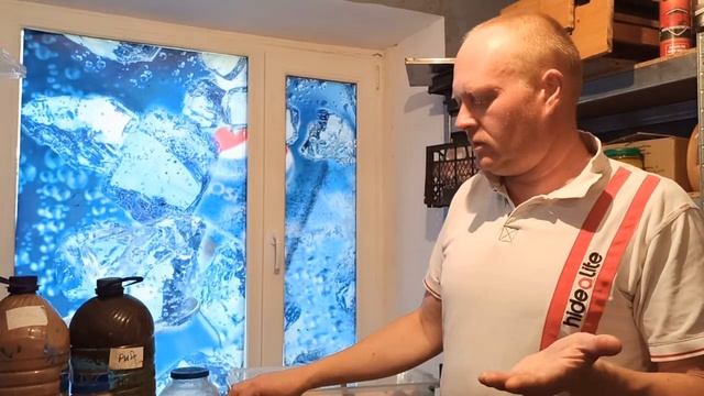 Катаем бойлы с Робин Рэд смотреть онлайн