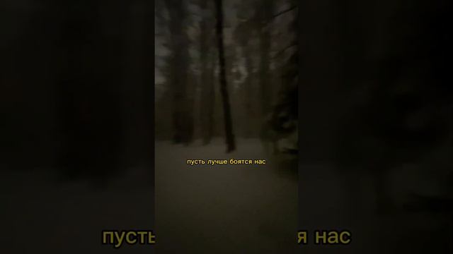 Как я изменилась с появлением собаки #доберманы #doberman #собаки смотреть онлайн