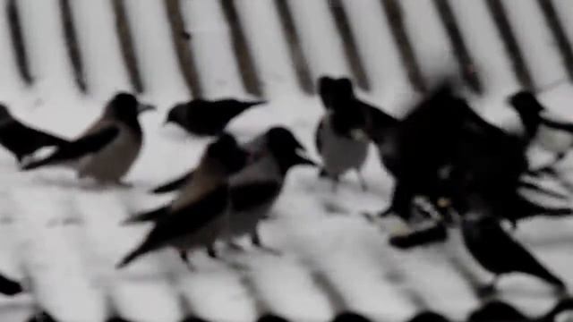 Зима пришла смотреть онлайн