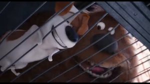 Макса и Дюка принимают в банду. Тайная жизнь домашних животных (2016)