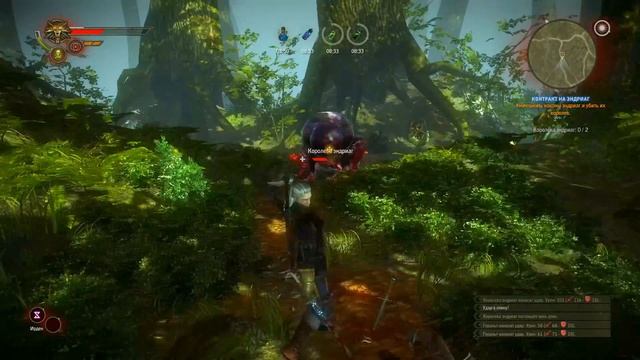 Квест "Контракт на эндриаг" - The Witcher 2 смотреть онлайн