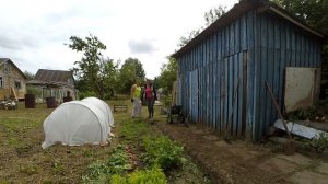 Ранний урожай на даче, большая редиска, учимся подвязывать горох