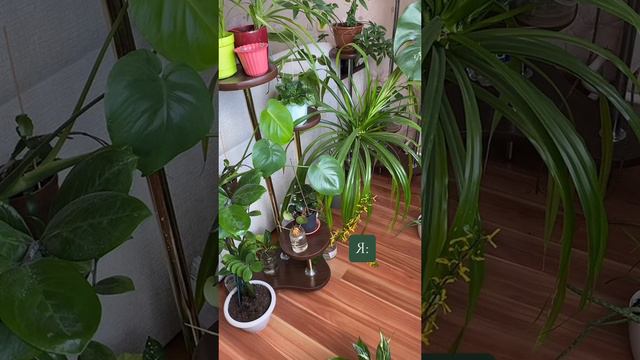 А как у вас началась весна?😂