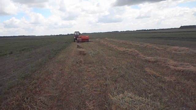 Тюковка в розгарі смотреть онлайн