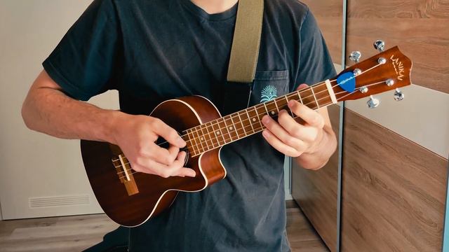 CLINT EASTWOOD on Ukulele смотреть онлайн