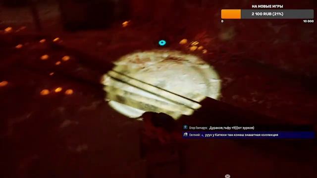 Котик вернулся