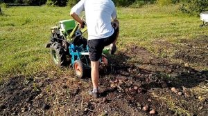 Обзор картофелекопалки ККМ 1 для тяжелого мотоблока (работа и минимальная доработка)