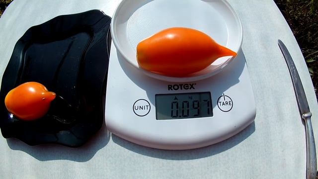 Томат Буратино смотреть онлайн