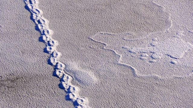 Оттепель воображения смотреть онлайн