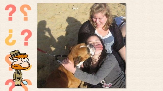 10 смешных фото, которые могут обмануть ваш мозг — «Показалось» смотреть онлайн