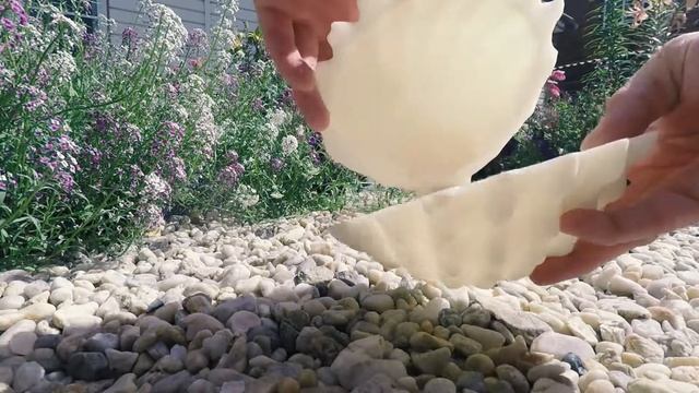 Шкатулка в виде морской ракушки (Casket seashell) смотреть онлайн