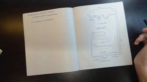 Устройство и принцип работы компрессионного холодильника | Физика 10 класс