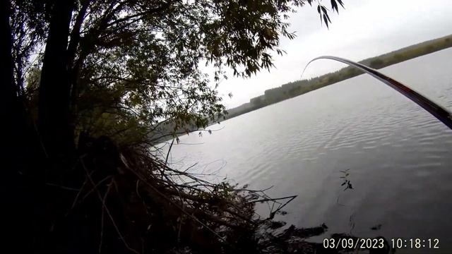 Поклевка огромной рыбы на боковой кивок! Паровоз, которой невозможно остановить! смотреть онлайн