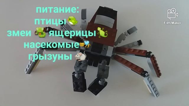 #ПАУК-ПТИЦЕЕД #LEGO #Theraphosidae самый большой #ПАУК в мире #ГОЛИАФ смотреть онлайн