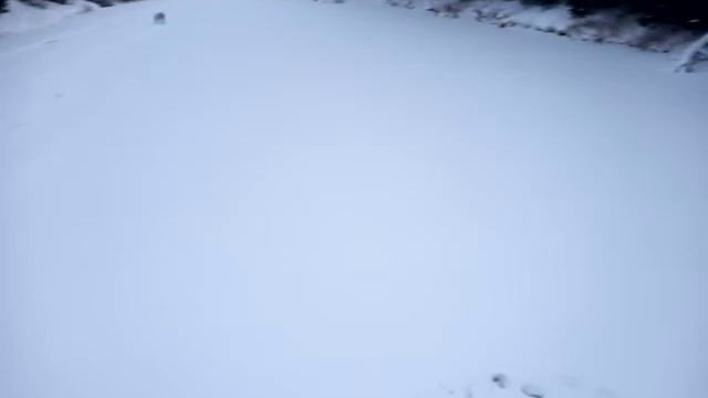 прогулка у поселка Слобода около Коуровки, река Чусовая смотреть онлайн