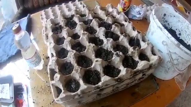 Посадка моркови,,в яичном лотке,и разное ,,,, смотреть онлайн